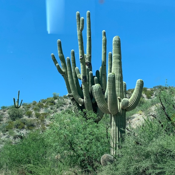 Meet your Posher, Jeff - Picture 1 of 1